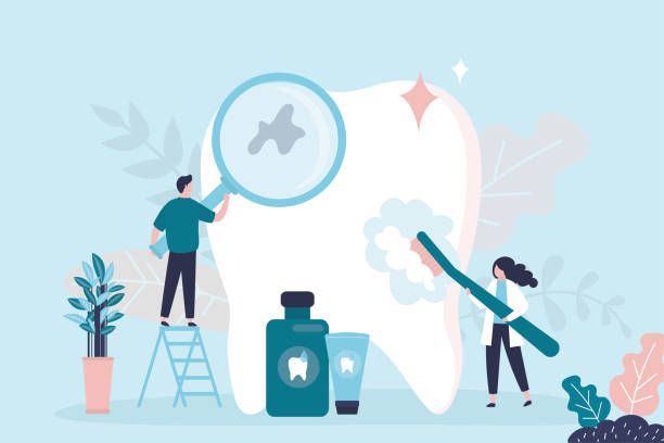 Reliable White Oak, TX Holistic Dental Care Services Solutions